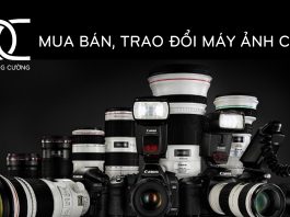 Dương Cường Digital